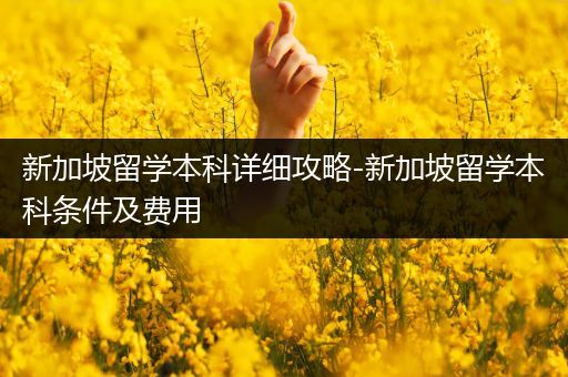 新加坡留学本科详细攻略-新加坡留学本科条件及费用