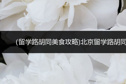（留学路胡同美食攻略)北京留学路胡同