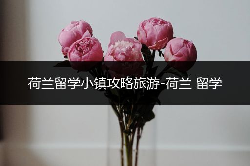 荷兰留学小镇攻略旅游-荷兰 留学