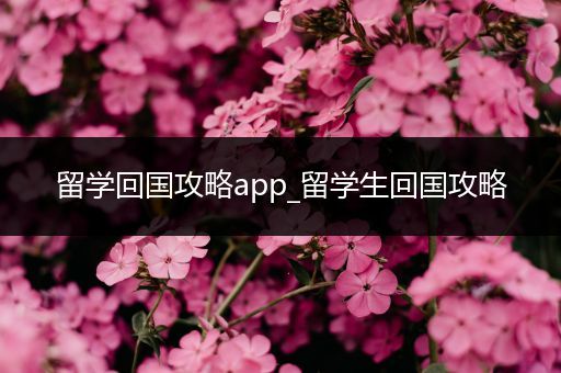 留学回国攻略app_留学生回国攻略