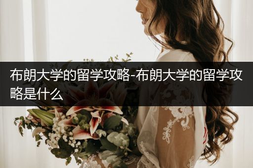 布朗大学的留学攻略-布朗大学的留学攻略是什么