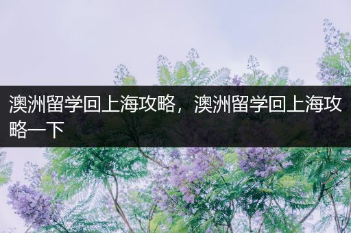 澳洲留学回上海攻略，澳洲留学回上海攻略一下