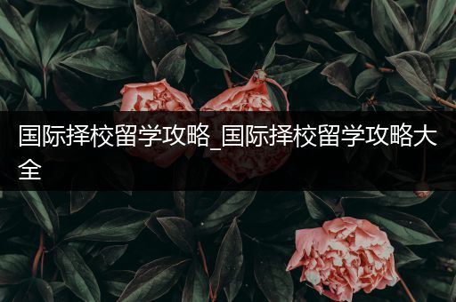 国际择校留学攻略_国际择校留学攻略大全