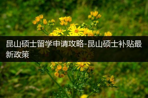 昆山硕士留学申请攻略-昆山硕士补贴最新政策