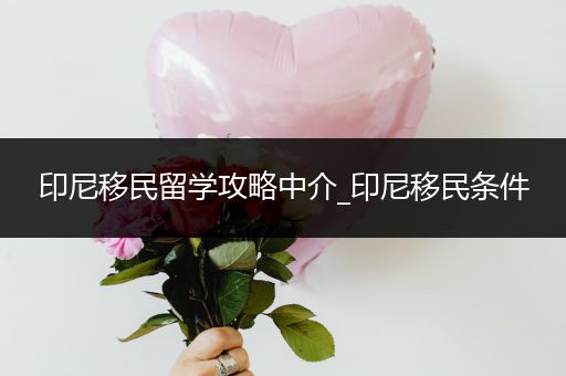 印尼移民留学攻略中介_印尼移民条件