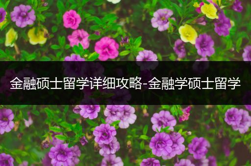 金融硕士留学详细攻略-金融学硕士留学