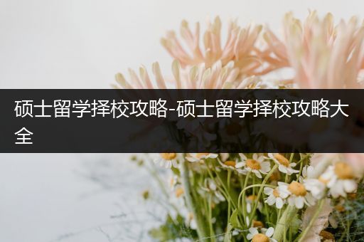 硕士留学择校攻略-硕士留学择校攻略大全