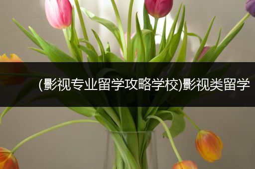 （影视专业留学攻略学校)影视类留学