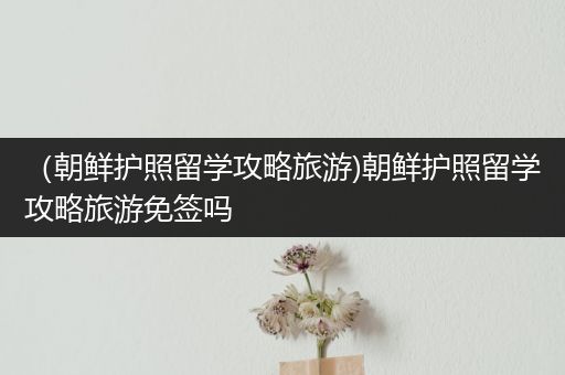 （朝鲜护照留学攻略旅游)朝鲜护照留学攻略旅游免签吗