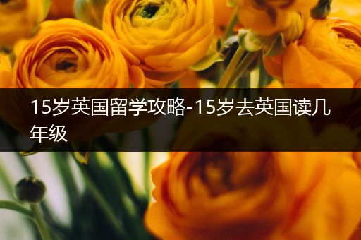 15岁英国留学攻略-15岁去英国读几年级