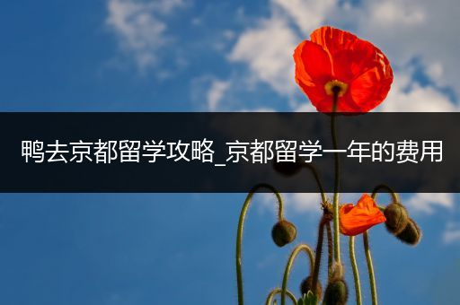鸭去京都留学攻略_京都留学一年的费用