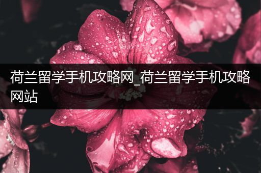 荷兰留学手机攻略网_荷兰留学手机攻略网站