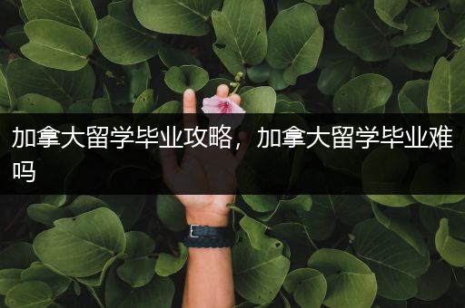 加拿大留学毕业攻略，加拿大留学毕业难吗