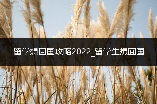 留学想回国攻略2022_留学生想回国