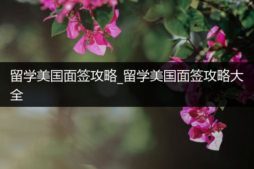 留学美国面签攻略_留学美国面签攻略大全
