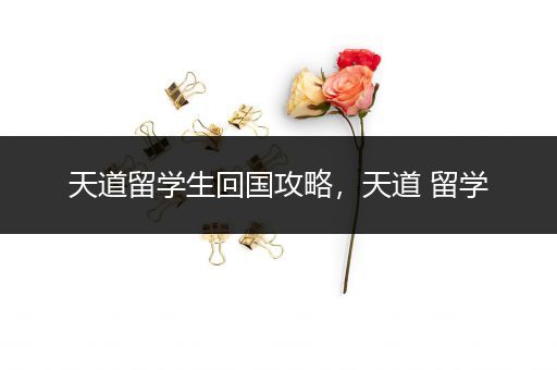 天道留学生回国攻略，天道 留学