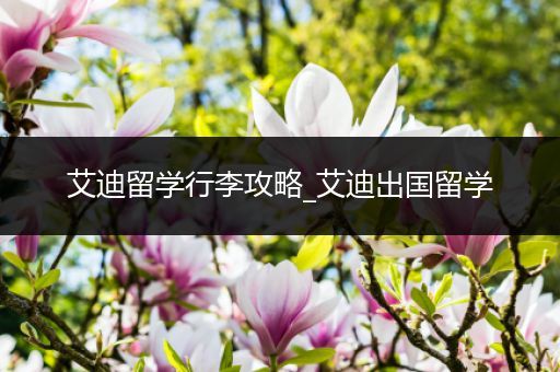 艾迪留学行李攻略_艾迪出国留学