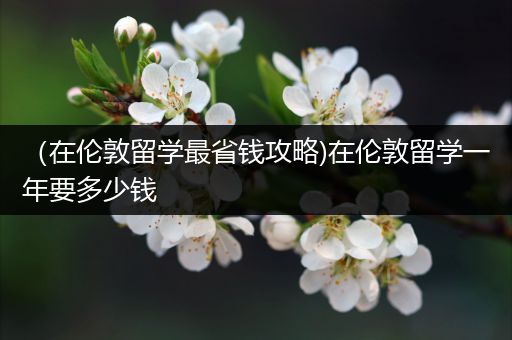 （在伦敦留学最省钱攻略)在伦敦留学一年要多少钱