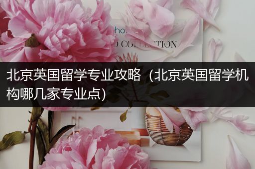 北京英国留学专业攻略（北京英国留学机构哪几家专业点）