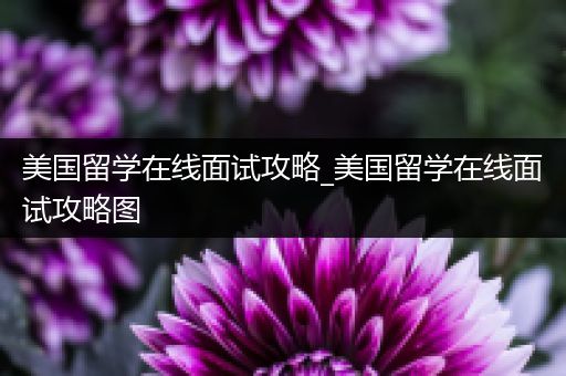美国留学在线面试攻略_美国留学在线面试攻略图