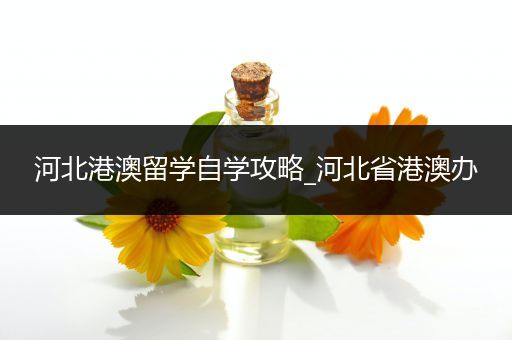 河北港澳留学自学攻略_河北省港澳办