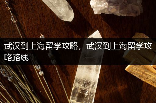 武汉到上海留学攻略，武汉到上海留学攻略路线