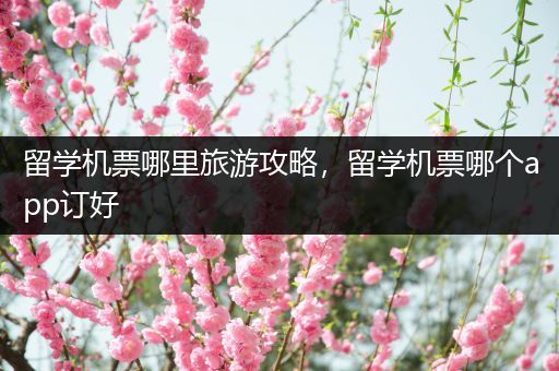 留学机票哪里旅游攻略，留学机票哪个app订好