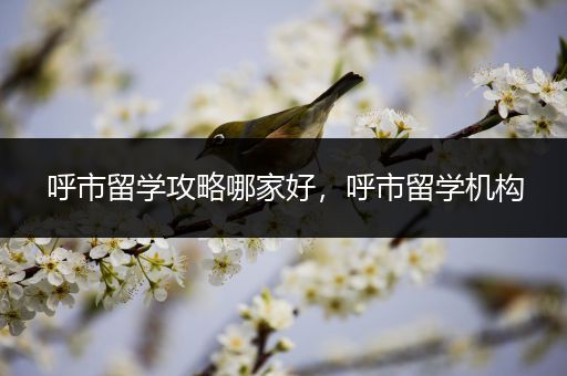 呼市留学攻略哪家好，呼市留学机构