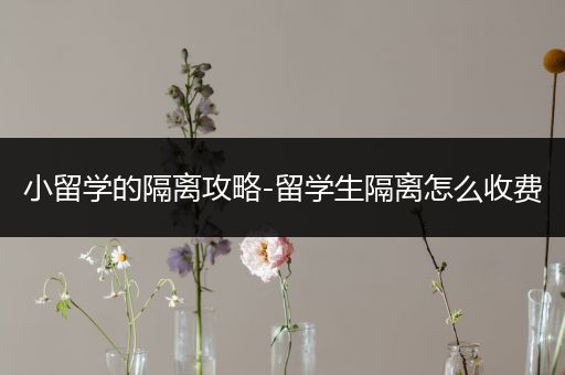 小留学的隔离攻略-留学生隔离怎么收费