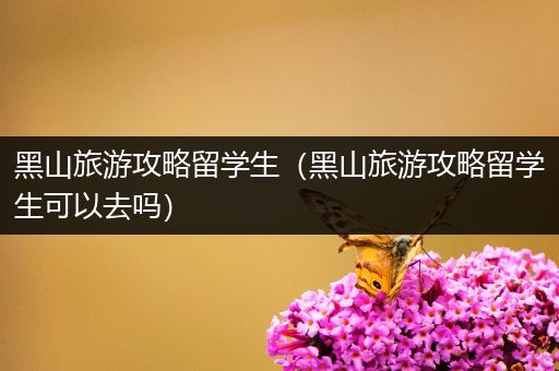 黑山旅游攻略留学生（黑山旅游攻略留学生可以去吗）