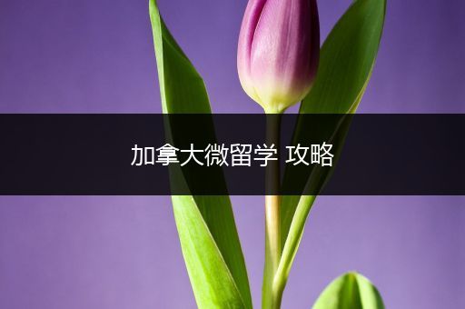 加拿大微留学 攻略