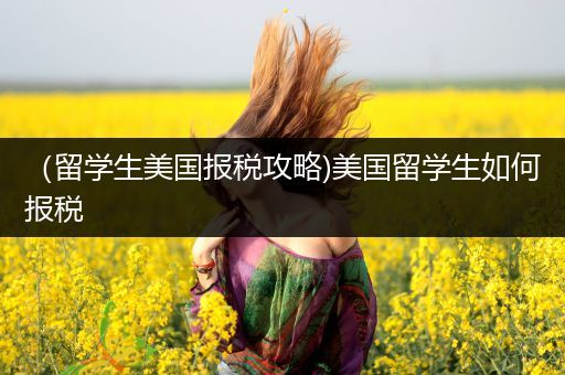 （留学生美国报税攻略)美国留学生如何报税