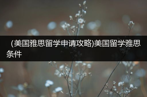 （美国雅思留学申请攻略)美国留学雅思条件