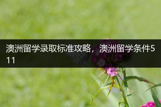 澳洲留学录取标准攻略，澳洲留学条件511