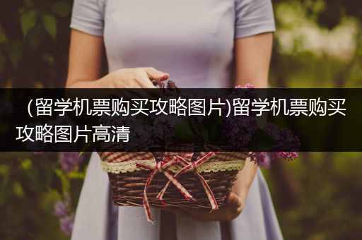 （留学机票购买攻略图片)留学机票购买攻略图片高清