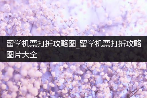 留学机票打折攻略图_留学机票打折攻略图片大全