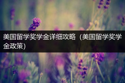 美国留学奖学金详细攻略（美国留学奖学金政策）