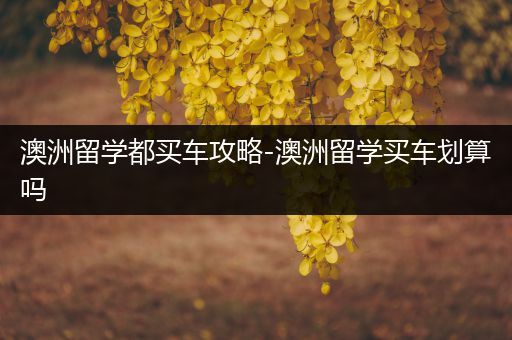 澳洲留学都买车攻略-澳洲留学买车划算吗