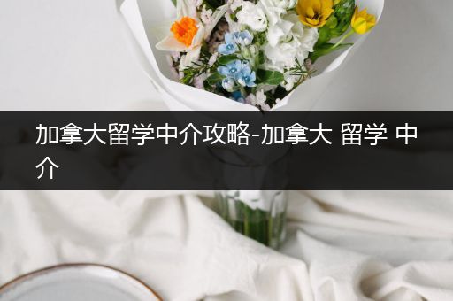 加拿大留学中介攻略-加拿大 留学 中介