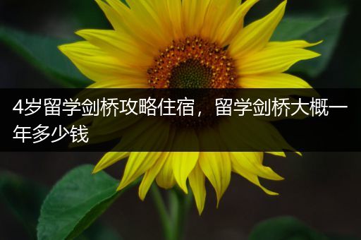 4岁留学剑桥攻略住宿，留学剑桥大概一年多少钱