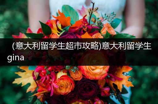（意大利留学生超市攻略)意大利留学生gina
