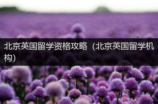 北京英国留学资格攻略（北京英国留学机构）