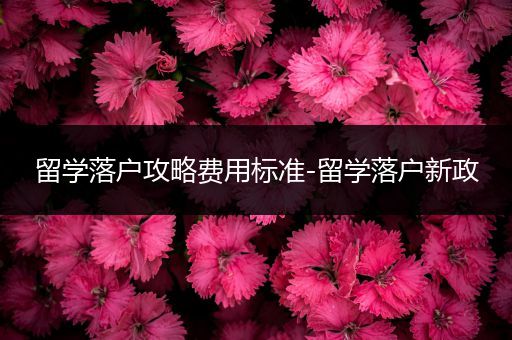 留学落户攻略费用标准-留学落户新政