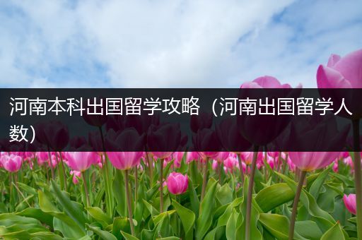 河南本科出国留学攻略（河南出国留学人数）