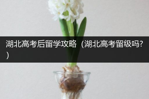 湖北高考后留学攻略（湖北高考留级吗?）