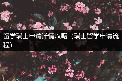 留学瑞士申请详情攻略（瑞士留学申请流程）