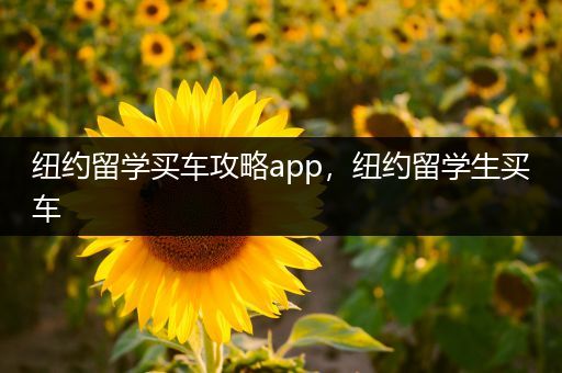 纽约留学买车攻略app，纽约留学生买车