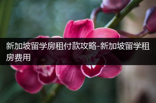 新加坡留学房租付款攻略-新加坡留学租房费用