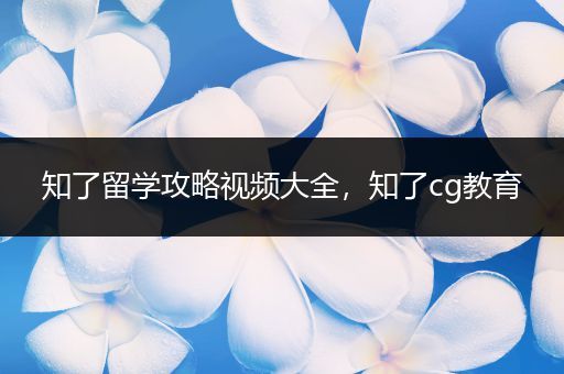 知了留学攻略视频大全，知了cg教育