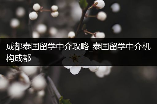 成都泰国留学中介攻略_泰国留学中介机构成都